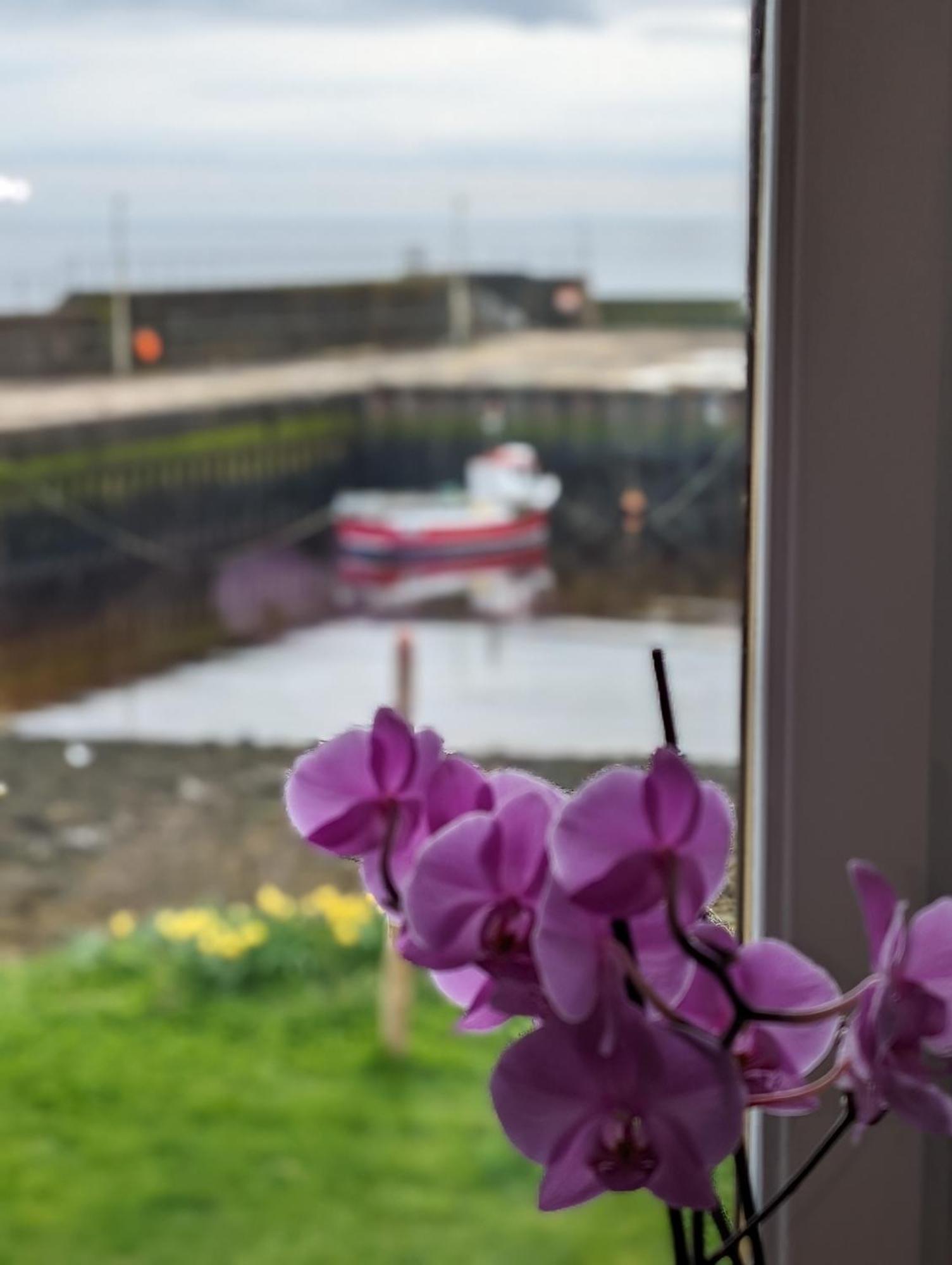 Bed and Breakfast Sea Song, Selkie House Helmsdale Exterior foto