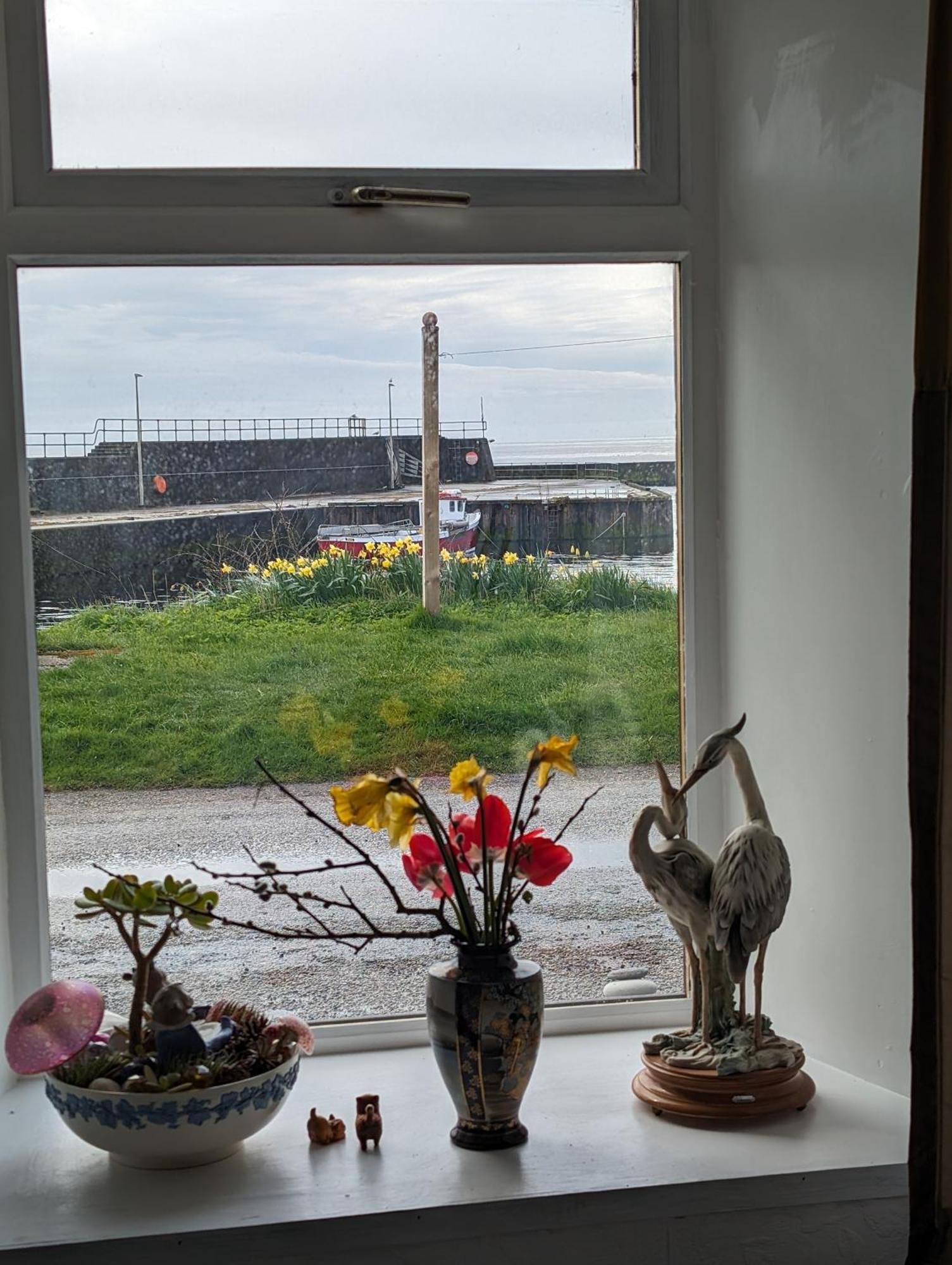 Bed and Breakfast Sea Song, Selkie House Helmsdale Exterior foto