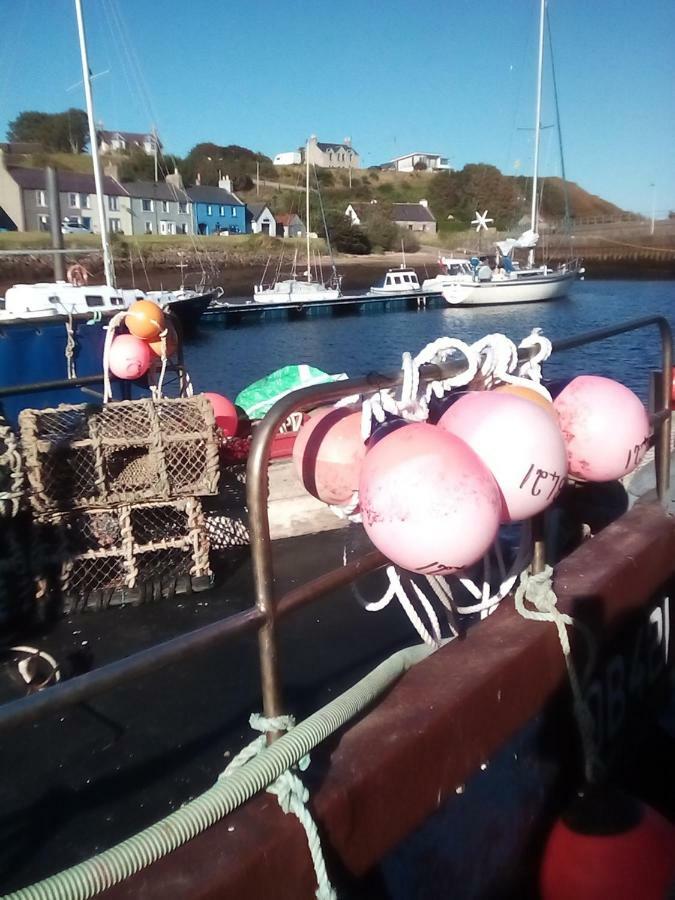 Bed and Breakfast Sea Song, Selkie House Helmsdale Exterior foto