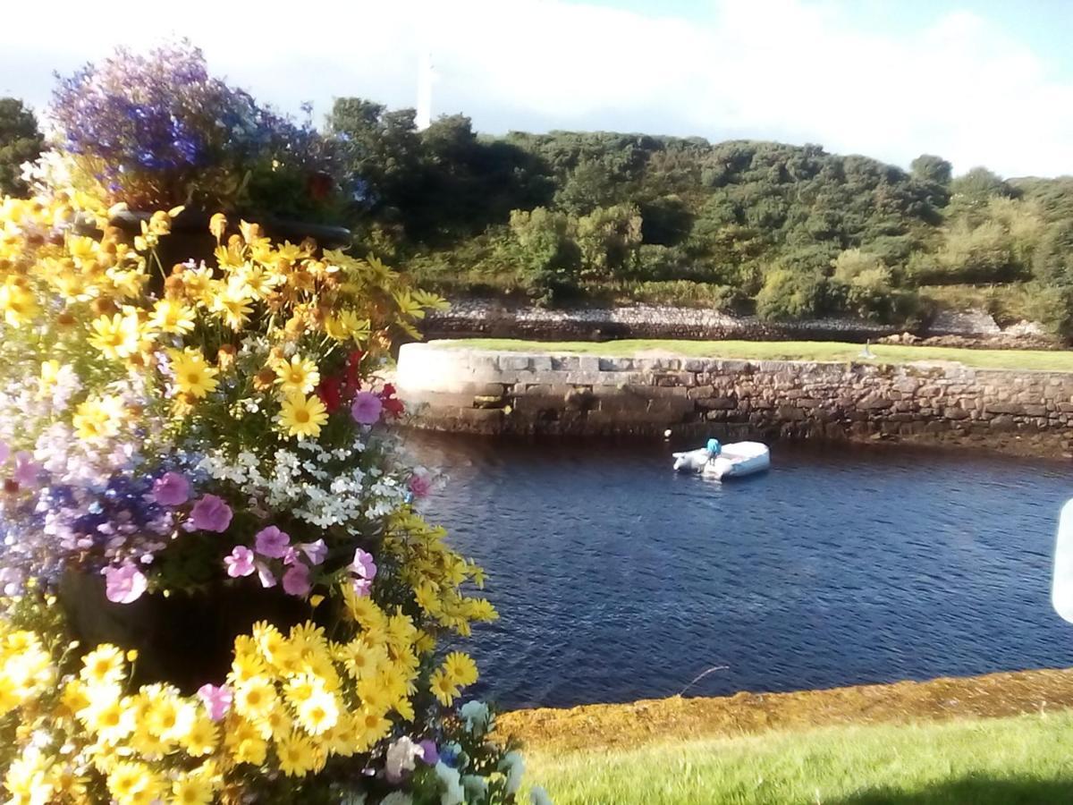 Bed and Breakfast Sea Song, Selkie House Helmsdale Exterior foto